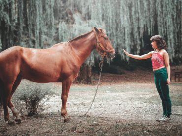 Elämä hevosen kanssa kehittää ihmistä