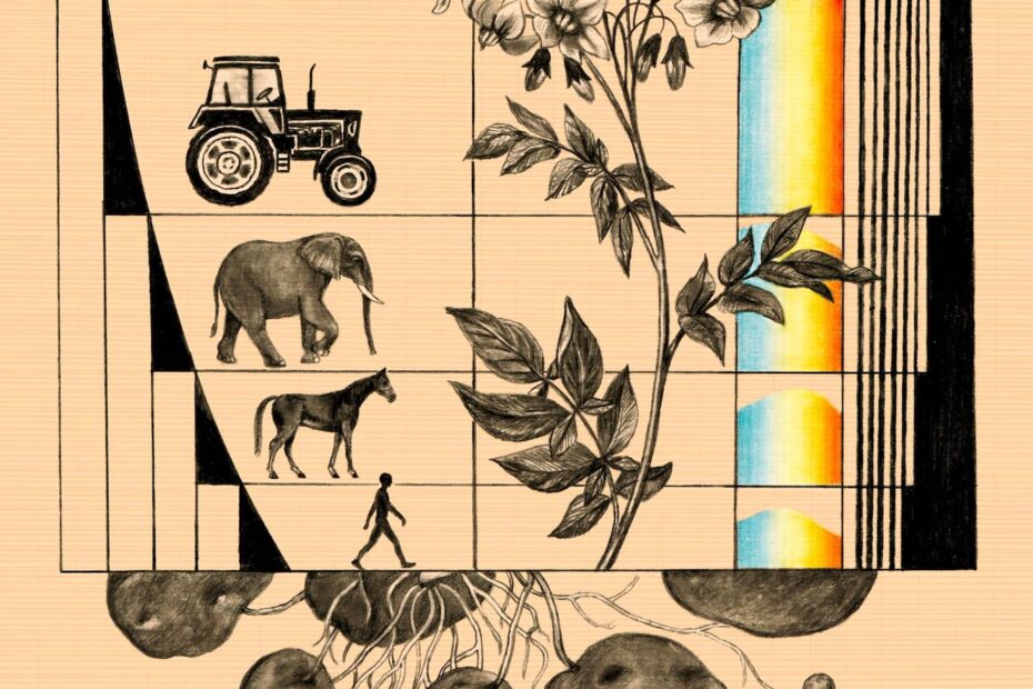 Evoluutiota kuvaava graafi, jossa päällimmäisenä on traktori, jonka alla norsu, jonka alla hevonen, jonka alla ihminen. Oikealla puolella kuvituksena putkikasvi ja alapuolella perunan mukuloita juurineen.